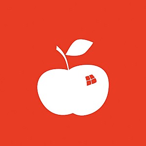 Das Recht auf Gesundheit