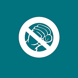 Das Recht auf Schutz vor Ausbeutung und Gewalt