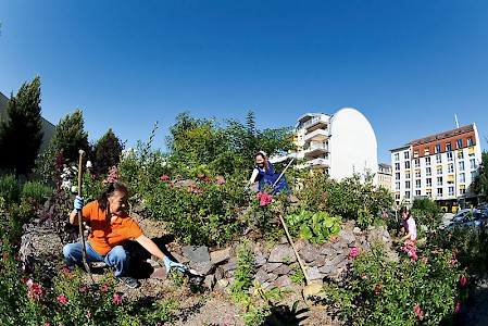 Ein Märchengarten mit Blumen, Obstbäumen, Wasserspielen, sternförmigen Beeten und einem begehbaren Hügel