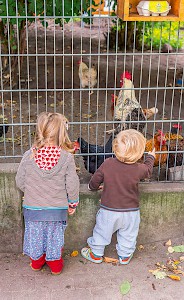 Grüne Oase in der Stadt. Gleich neben dem Kindertreff gibt es einen Hühnerhof.