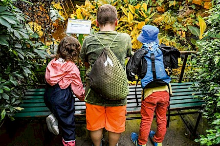 Bei den »Seelensteinen« sind Kinder psychisch  kranker Eltern keine Außenseiter.