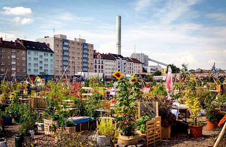 Bunte Gartenvielfalt im Offenbacher ­ Wohn- und Industriegebiet